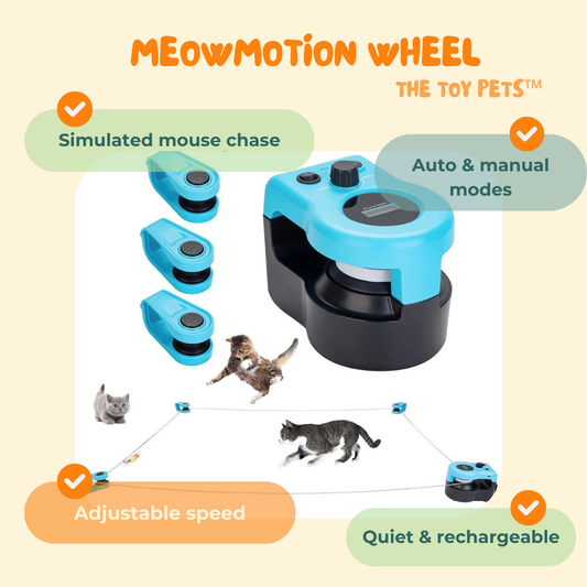 The Toy Pets™ MeowMotion Wheel